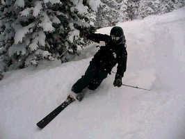 Telemark Skier
